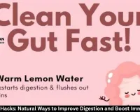  Gut Health Hacks: Natural Ways to Improve Digestion and Boost Immunity Daily