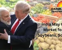 India May Open Market for US Soybeans, Sorghum: Trade Deal Possible Within a Year