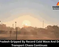 Madhya Pradesh Gripped By Record Cold Wave And Dense Fog, Transport Chaos Continues