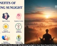  Natural Health Hacks 2025: Why Morning Sunlight is Your Most Powerful Daily Habit