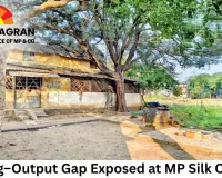 Staffing–Output Gap Exposed at MP Silk Centres as Salaries Far Exceed Production Value