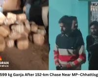 STF Seizes 599 kg Ganja After 152-km Chase Near MP–Chhattisgarh Border; Two Arrested