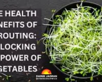 Sprouts Gain Popularity as a Superfood: Experts Highlight Major Health Benefits