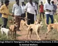  900 Stray Dogs Killed in Telangana After Panchayat Elections: A Shocking Blow to Animal Welfare