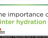  Beat Winter Dehydration: 5 Natural Daily Hacks for Optimal Hydration in 2026