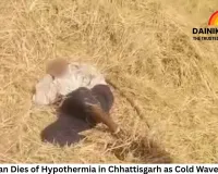 Sahu Community Outraged Over Baghel's Monkey Remark Against Deputy CM Arun Sao