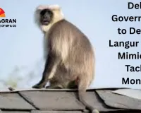 Delhi Government to Deploy Langur Sound Mimics to Tackle Monkey Menace at Assembly Complex