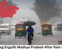Dense Fog Engulfs Madhya Pradesh After Rain and Hail; Fresh Western Disturbance to Bring More Rain