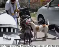 Supreme Court Flags Stray Dog Threats, Highlights Lack of Shelter Infrastructure