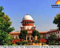 Supreme Court Raps States Over Poor Implementation of Stray Dog Sterilisation Orders