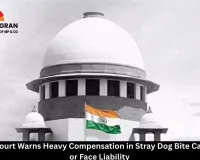 Supreme Court Warns Heavy Compensation in Stray Dog Bite Cases: Adopt or Face Liability