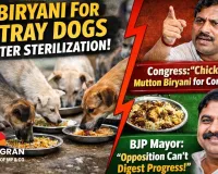 Raigarh Municipal Corporation Feeds Biryani to Stray Dogs Post-Neutering, Sparks Political Debate