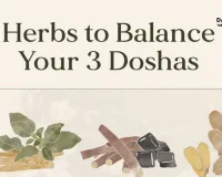  Winter Spices for Health 2026: Unlock Natural Healing with Your Everyday Masala Dabba | Ayurvedic Hacks  