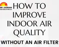Breathe Easy This Winter: Natural Hacks to Purify Your Home Air in India