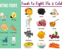 Fight the Flu Season: Dietitian-Approved Indian Foods to Boost Immunity Naturally