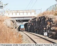 Four Animal Overpasses Under Construction in Ratapani Forest to Protect Wildlife