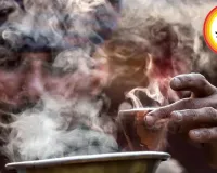 Morning Rituals 2.0: Why Ghee and Herbal Drives Are Replacing Your Indian Chai This Winter