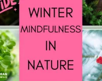 Thaw Your Mind: The Eco-Therapy and Mindfulness Effect for Winter Mental Wellness