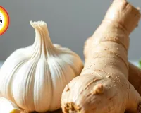  The Power of Ginger and Garlic: The Anti-Viral Tadka