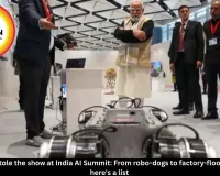  Top  robots stole the show at India AI Summit: From robo-dogs to factory-floor humanoids, here's a list