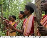 Tribal-Owned Enterprise in Nilgiris Crosses ₹1.4 Crore Turnover, Strengthens Local Livelihoods