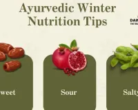 Winter Wellness: Balancing Vata with Warm, Nourishing Foods