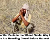 Iran War Panic in the Wheat Fields: Why MP Farmers Are Hoarding Diesel Before Harvest Season