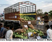 Rs 1.12 Crore Ganja Hidden in Watermelons Seized in Mahasamund