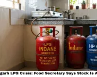 Chhattisgarh LPG Crisis: Food Secretary Says Stock Is Adequate — But Here Are the Toll-Free Numbers You Actually Need Right Now