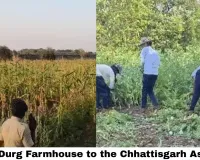 Durg Farmhouse Opium Scandal: How a YouTube Video & Vikas Bishnoi Raid Blew Open Chhattisgarh's Biggest Drug-Politics Crisis of 2026