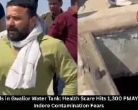Dead Lizards in Gwalior Water Tank: Health Scare Hits 1,300 PMAY Flats Amid Indore Contamination Fears