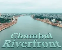 Draupadi's Curse Accidentally Became India's Greatest Conservation Policy