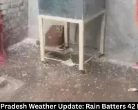 Madhya Pradesh Weather Update: Rain Batters 42 Districts