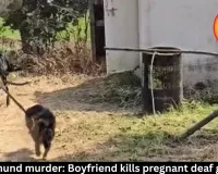 Mahasamund murder: Boyfriend kills pregnant deaf girlfriend