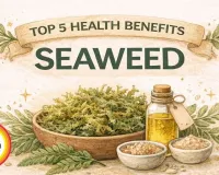 Marine Medicine: How ICAR-CMFRI's Seaweed Nutraceuticals Are Revolutionising Natural Immunity in 2026