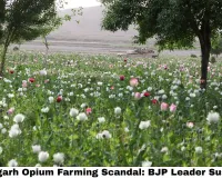 Chhattisgarh Opium Farming Scandal: BJP Leader Suspended, Congress Storms Assembly as Durg's Drug Shocker Goes Political