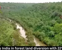 MP tops India in forest land diversion with 22% share