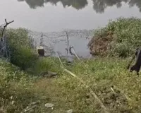 Illegal Opium Cultivation Found in BJP Leader’s Farm, Police Uproot Entire Crop