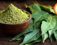  Neem Leaves: The Ultimate Natural Health Hack For Blood Purification | Summer 2026