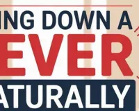 Seasonal Fever Alert 2026: Ayurvedic Home Remedies That Actually Work Against Summer Flu