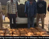 245 kg Cannabis Seized from Car in Bilaspur, One Arrested