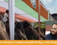 Anant Ambani’s Birthday Celebrated in Jaipur with Elephants: 3000 kg Fruit Feast Steals the Show