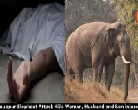 Anuppur Elephant Attack Kills Woman, Husband and Son Injured