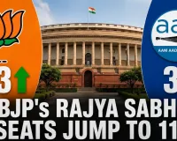 BJP Strength in Rajya Sabha Rises to 113 After AAP Merger
