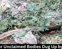 Gwalior Unclaimed Bodies Dug Up by Dogs