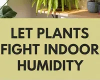  Living Curtains: How Indoor Plants Are Natural Air Coolers in 2026