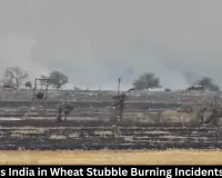 MP Leads India in Wheat Stubble Burning Incidents: Report