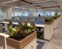 Co-working & Smart Work: Bridging the Gap Between Tier 1 and Emerging Cities