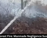 Rewa Forest Fire: Manmade Negligence Suspected