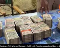 Tamil Nadu Elections: Flying Squad Recovers Rs 65 Lakh from Congress Candidate in Srivaikuntam